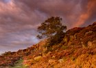 David Atkinson_Last Light in the Peak District.jpg